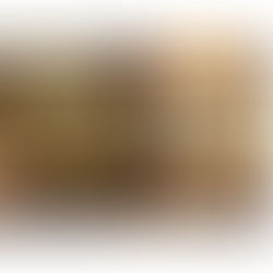 Festa do Leite 2026: Perfil dos artistas que se apresentarão