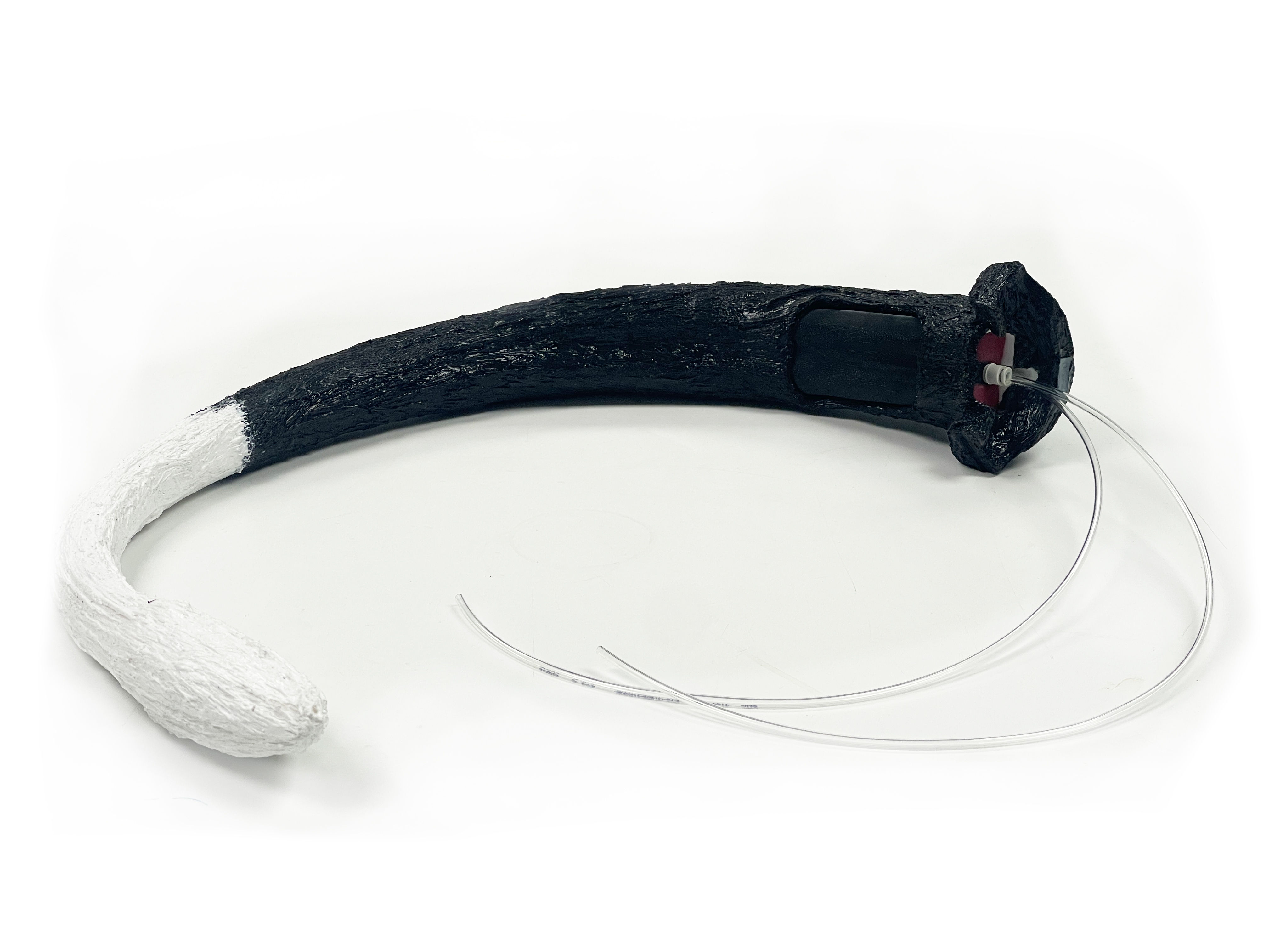 Coccygeal Vein Blood Sampling Kit