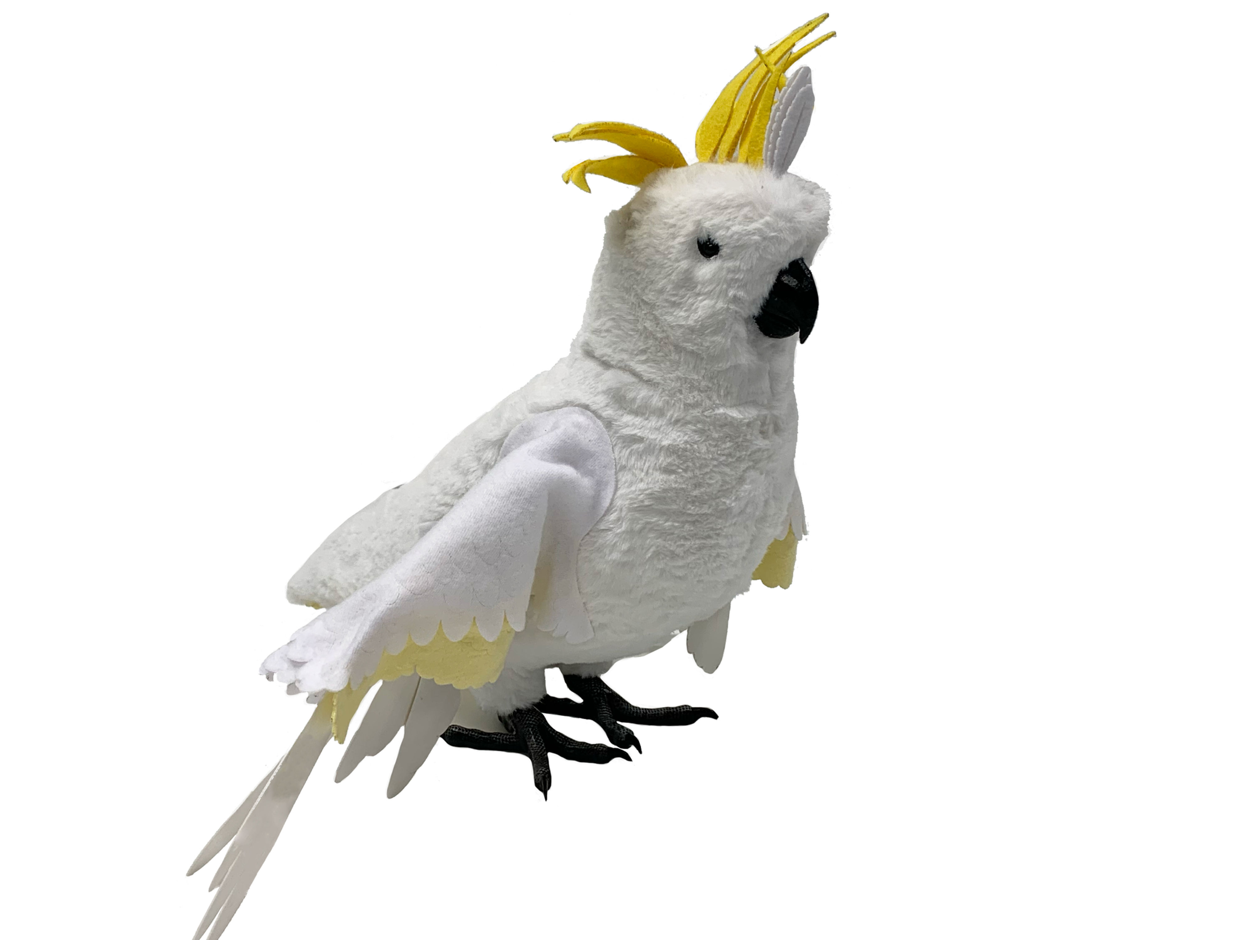 Cockatoo Bandaging Model