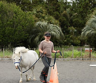 Horses Helping Humans Taranaki, Youth, Therapy