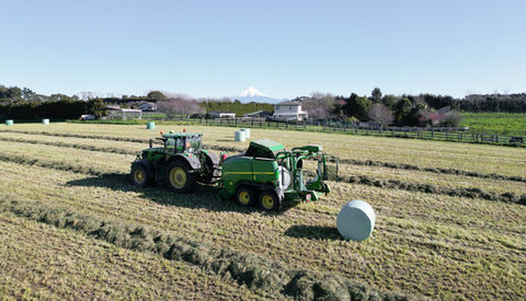 Hay and Silage