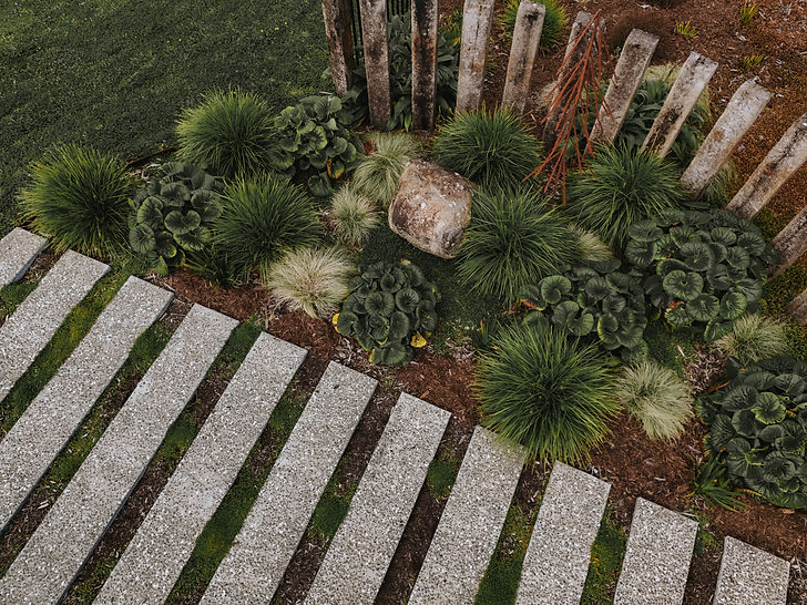 DJI_20241024091426_0144_D.jpg