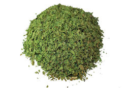 coriander