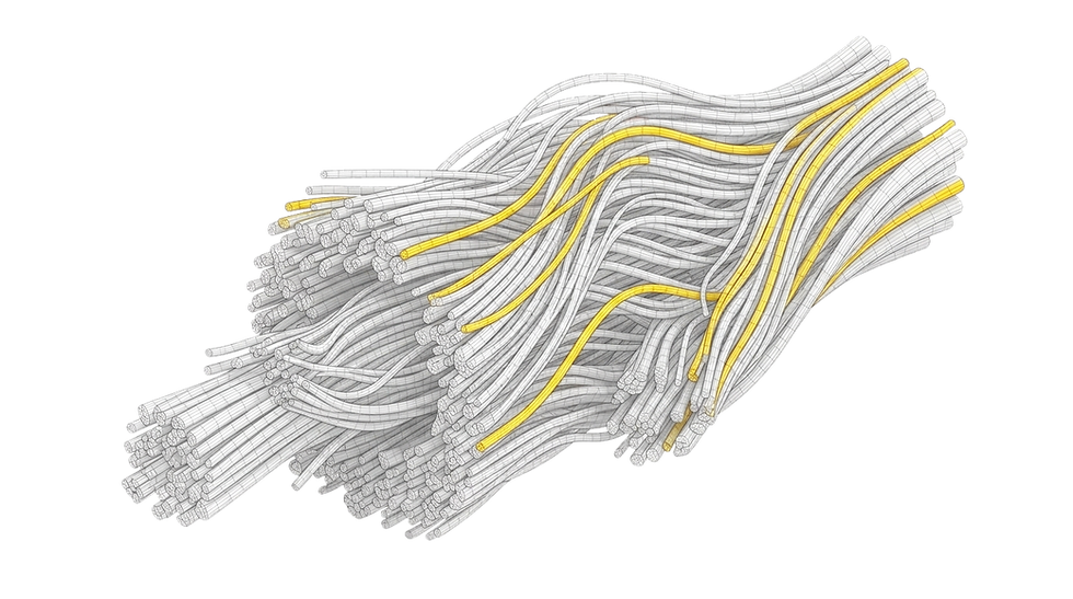 openart-image_1778569259625_2f1f3f17_1778569259646_c421599d.png