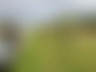 Neue Natur- und Geschichtszeichen für Mainbernheim