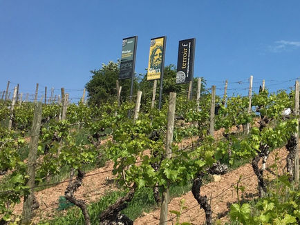Gestaltung des terroir f Aussichtspunkts in Thüngersheim.
