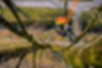 20230406_Beck-Baumpflege-HindelangDSC06775fullres.jpg