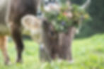 DSCF1690.jpg