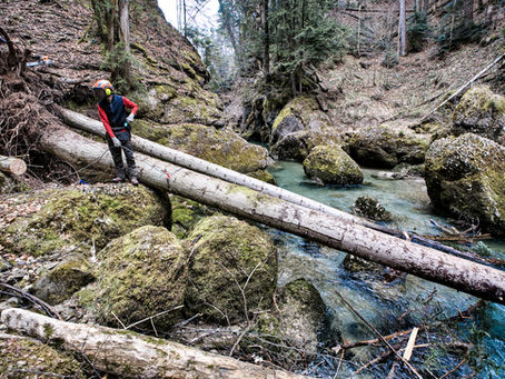 Der Fluss soll fließen