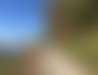 Weiterer magischer Ort des Frankenweins eröffnet.