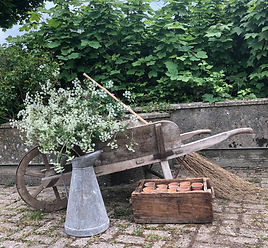 The French Shed.jpeg