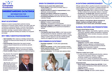 Folleto profesional descargable.jpg