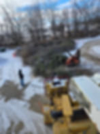 Ice Storm Clean Up (1).jpg