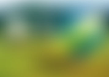 2015 國際熱氣球嘉年華