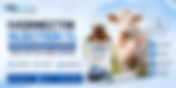 Ivermectin Injection 1% – Trusted Parasite Control for Cattle and Swine