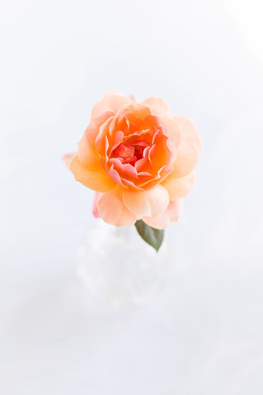 Simple Vase - V1 & V2