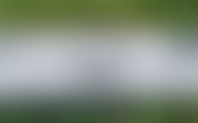 Domestic Disturbance: The Barbara Lacey Story