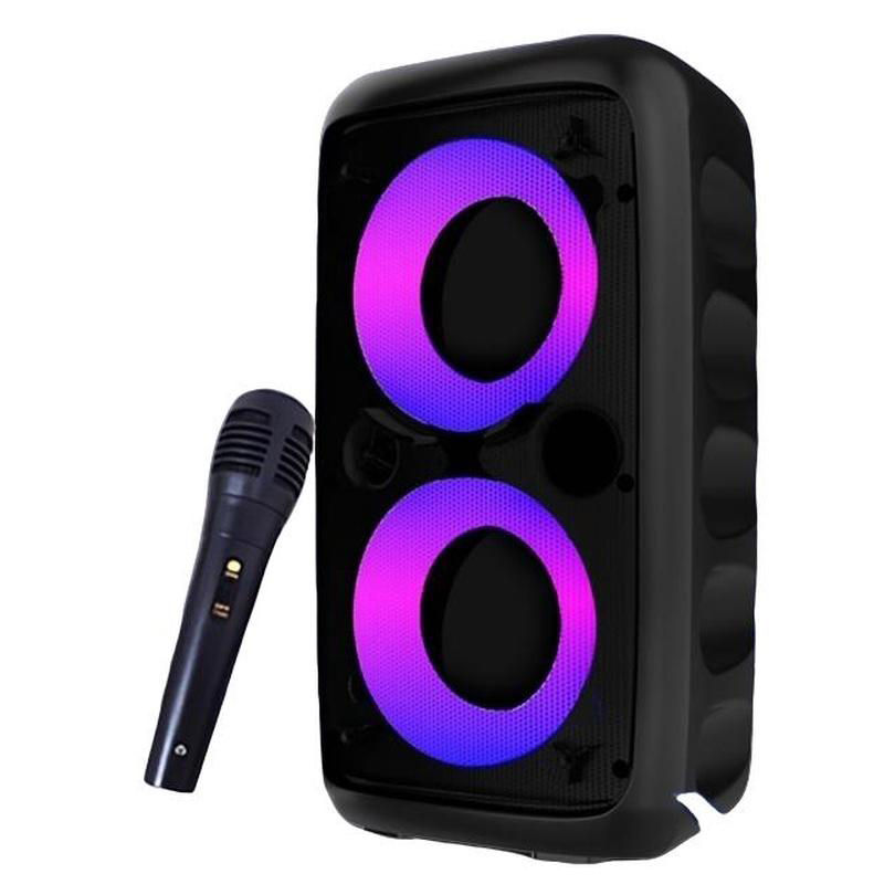 Wireless Karaoke Bluetooth Speaker Subwoofer Portable With Microphone Radio FM L
