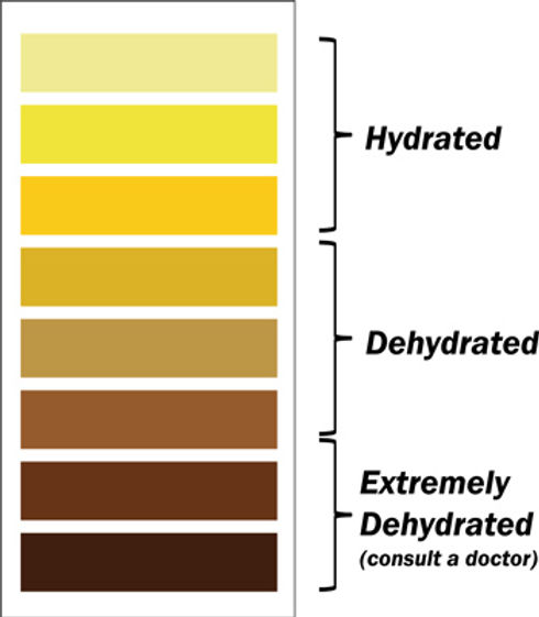 Rhabdo Examples What is Rhabdo?