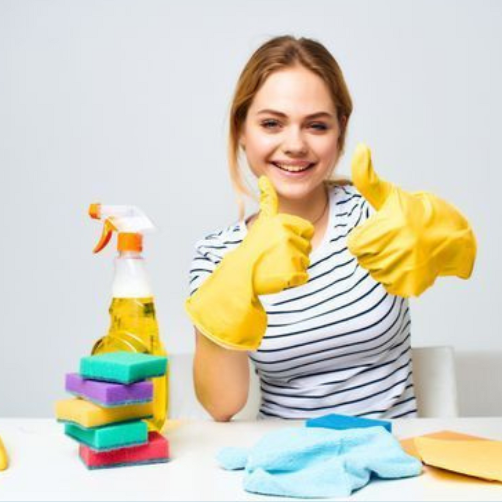 house cleaner