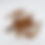 Miniature : Patte de poulet