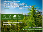 Curso de Cáñamo Medicinal Industrial: Cultivo, industrialización y regulaciones 