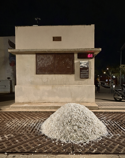 Gemini_Generated_Image_qoaq1pqoaq1pqoaq (1).png