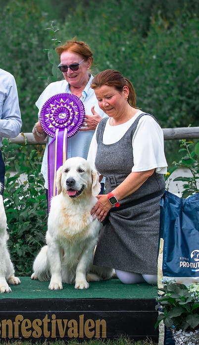 Goldenfestivalen 2024-24.jpg