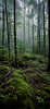 ChatGPT Image May 31, 2026, 12_53_15 PM.png