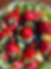 IMG_0087.jpeg