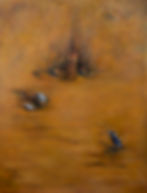 Sacred Ground 1