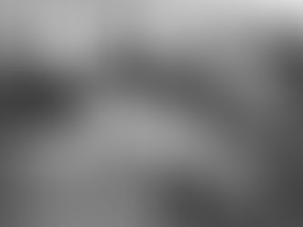 El 3 de julio de 1955 por primera vez la mujer mexicana emite su voto