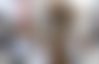 Inició el Carnaval en Veracruz