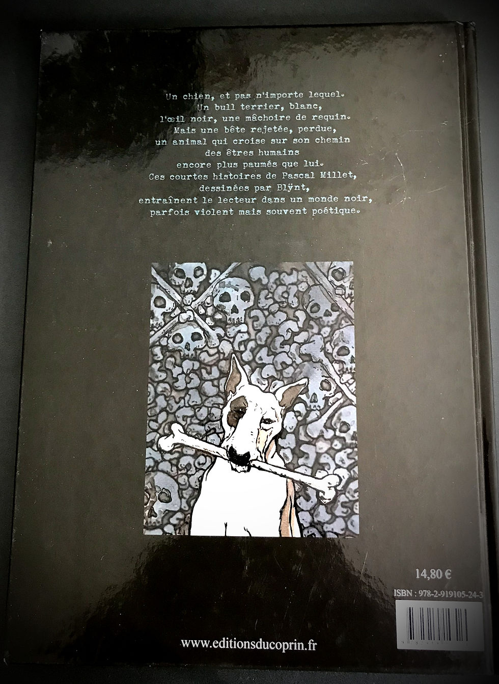 Miniature : CHIENNE DE VIE - Pascal Millet