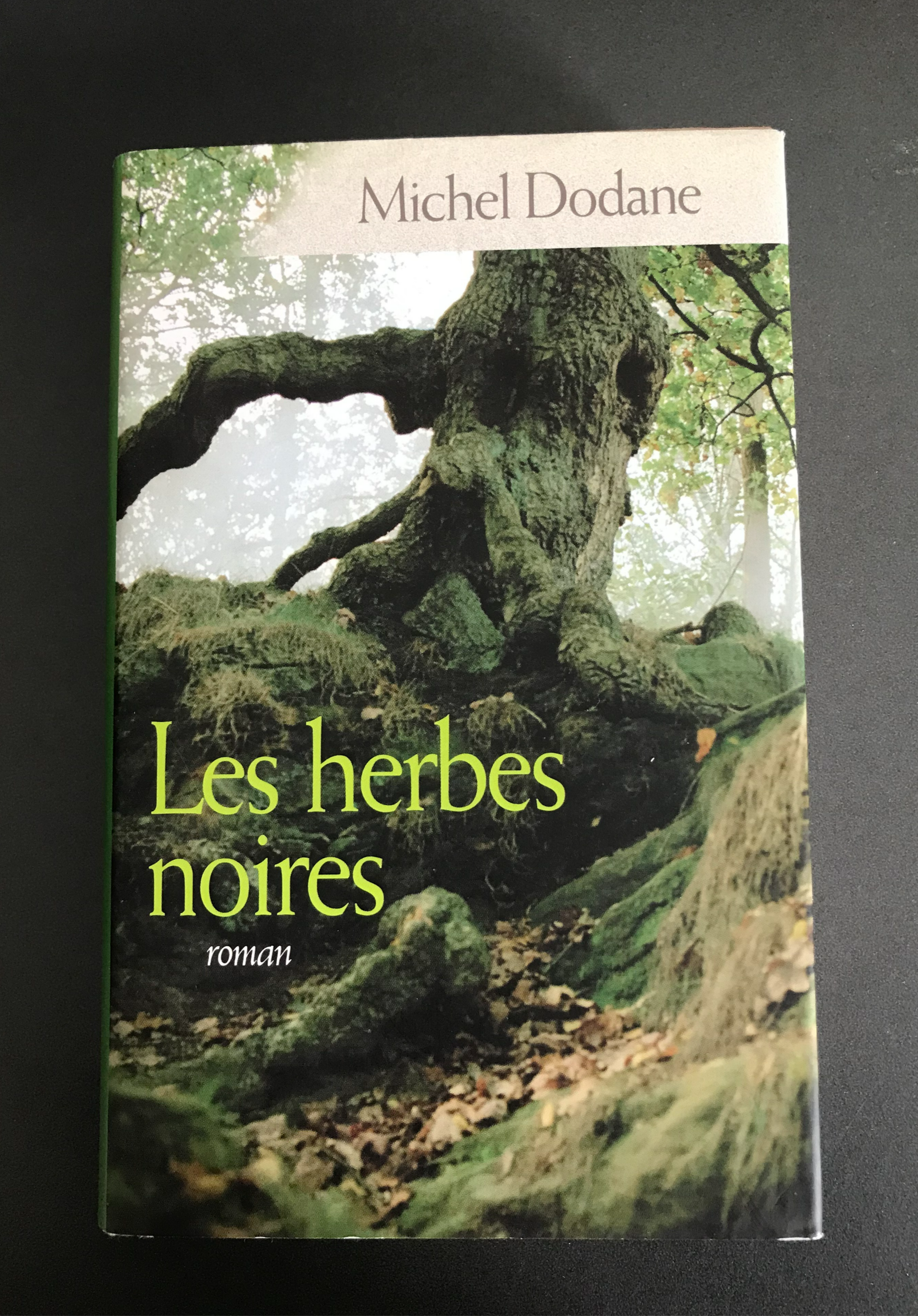 LES HERBES NOIRES - Michel Dodane