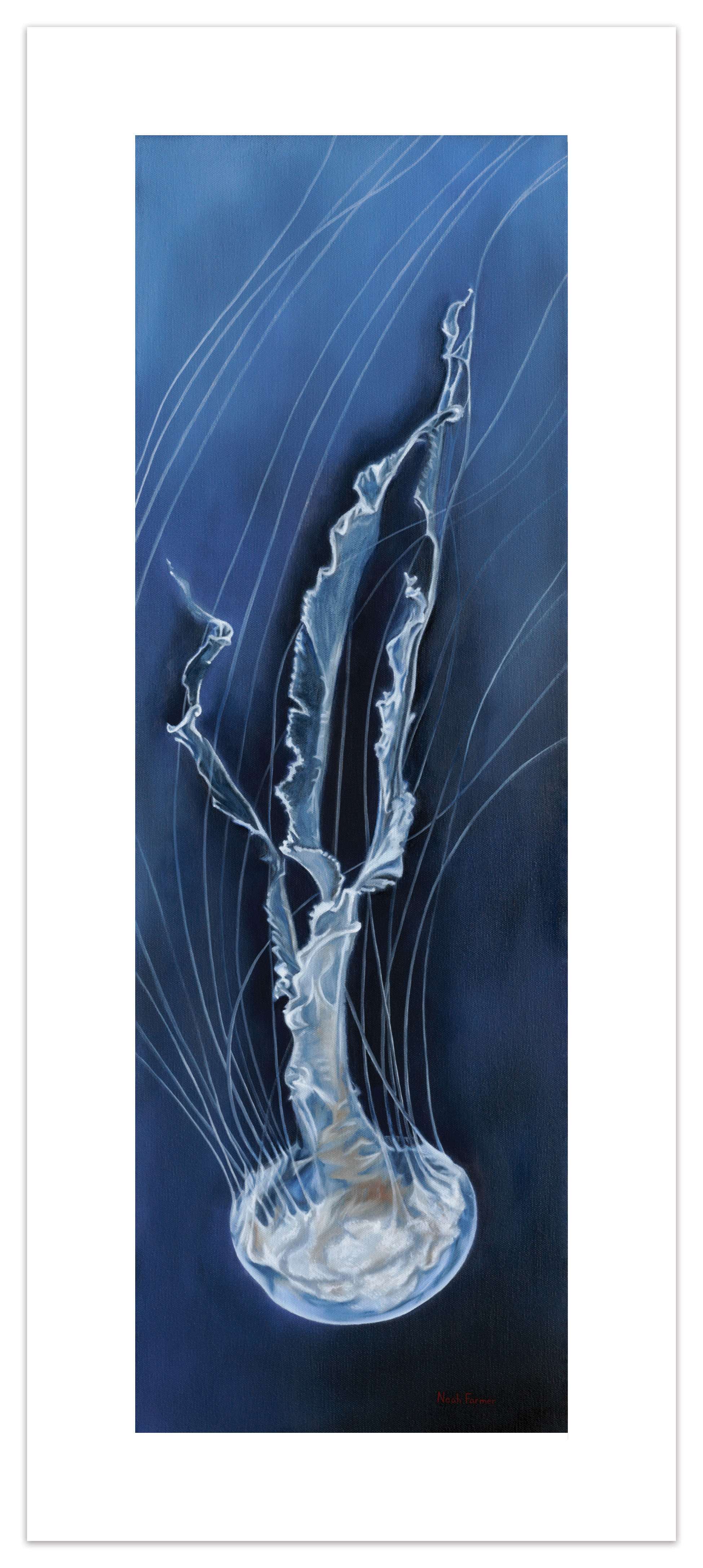 "Jellyfish" fine art print