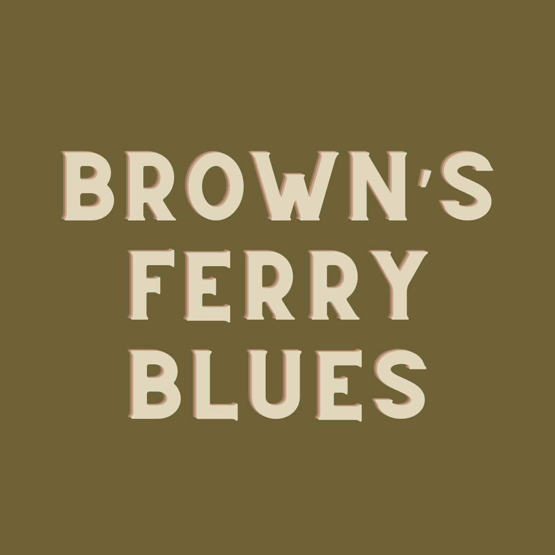 Brown's Ferry Blues Hacking Teaching Lesson