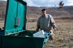 Bobwhite Quail Return To West Virginia