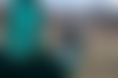 Bobwhite Quail Return To West Virginia