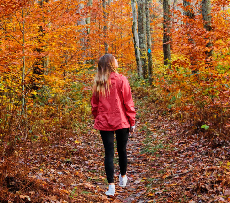 AllTrails Launches First of its Kind Partnership with West Virginia to Empower Travelers to Explore