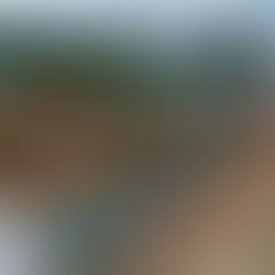 Court Rejects Pipeline's Request for New Panel of Judges