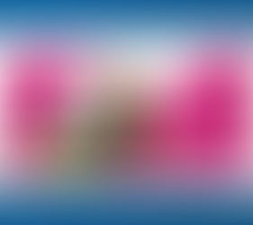 Meet the Newest Girl Scout Cookie: Raspberry Rally