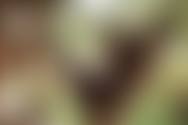 A Few Lifestyle Changes Can Help You Deal With Stress