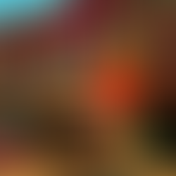 SPOTLIGHT: West Virginia Strawberry Festival History