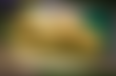 City of Buckhannon Bulky Goods Collection is Friday, October 14, 2022