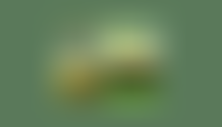 Regional Fun: CW's Corn Maze Promotes Agriculture and Provides Family-Friendly Experiences