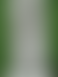 Vintage West Virginia; On This Day in West Virginia History, July 18th