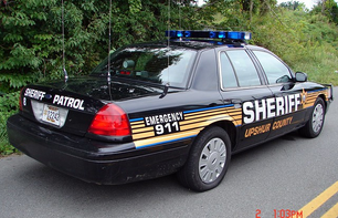 Eighty (80) Dogs Seized inside Single-Wide Trailer in Upshur County