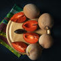 sapote trees for sale in florida