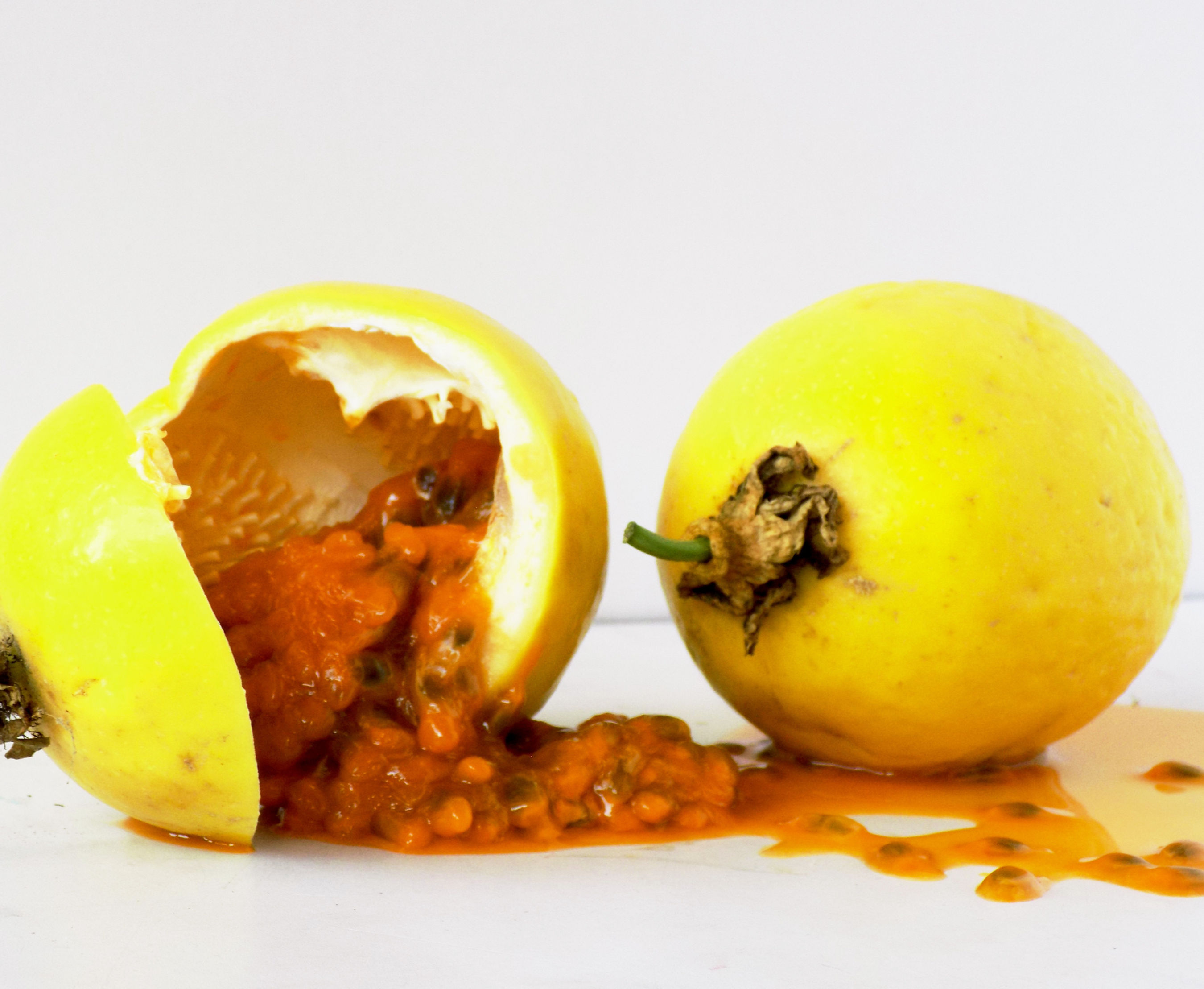 Yellow Passion Fruit (Passiflora edulis f. flavicarpa)